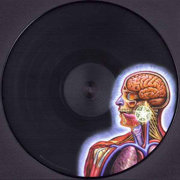 Lateralus | Mint (M) Mint (M) Get Cheap Vinyl