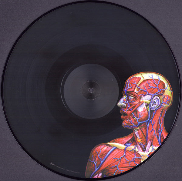 Lateralus | Mint (M) Mint (M) Get Cheap Vinyl