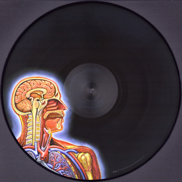 Lateralus | Mint (M) Mint (M) Get Cheap Vinyl