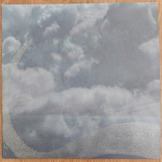 The Fire In Our Throats Will Beckon The Thaw | Mint (M) Mint (M) Get Cheap Vinyl
