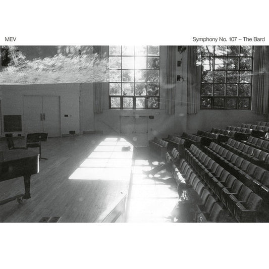 Symphony No. 107 - The Bard | Get Cheap Vinyl