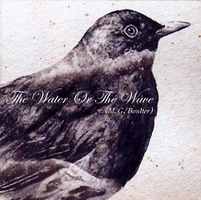 The Water or the Wave | Get Cheap Vinyl