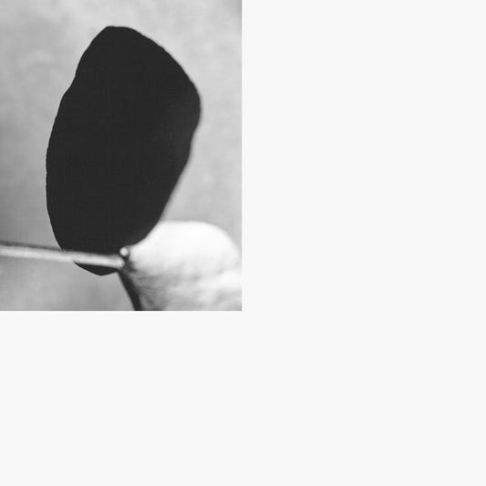 Classical Mechanics | Get Cheap Vinyl
