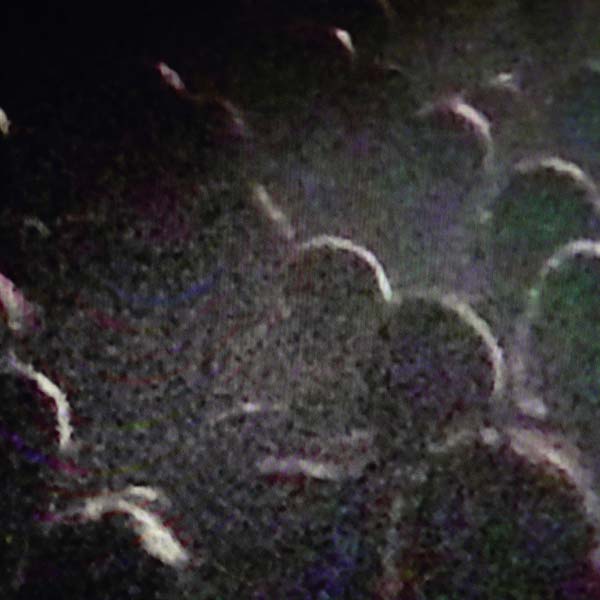 Live a La Gaite Lyrique | Get Cheap Vinyl