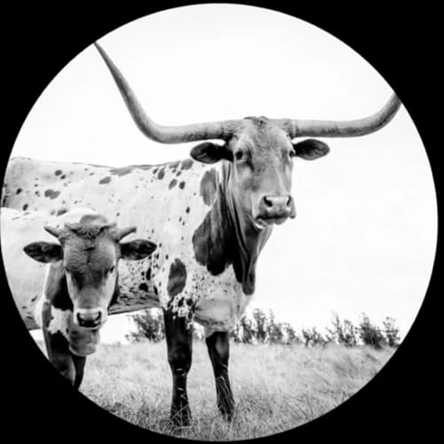 West Texas Blues | Get Cheap Vinyl