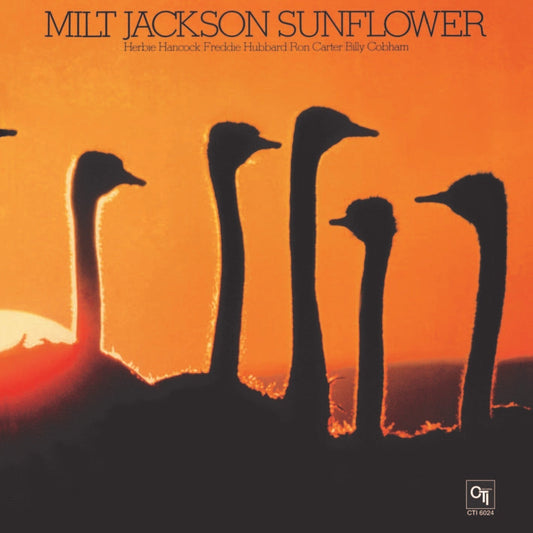 Sunflower | Get Cheap Vinyl