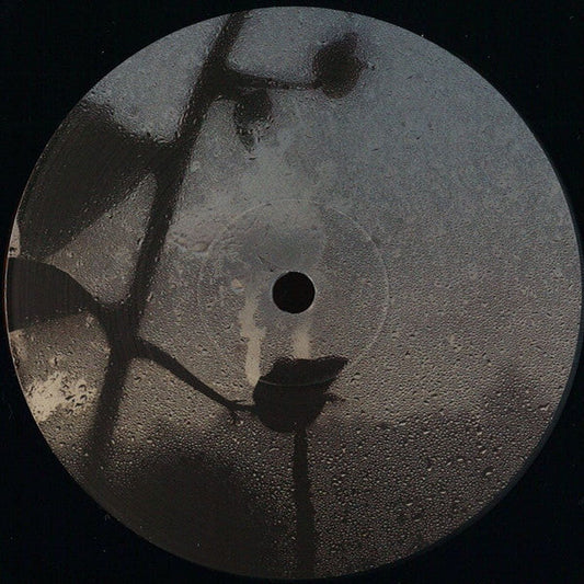Chroniques Binaires | Mint (M) Mint (M) Get Cheap Vinyl