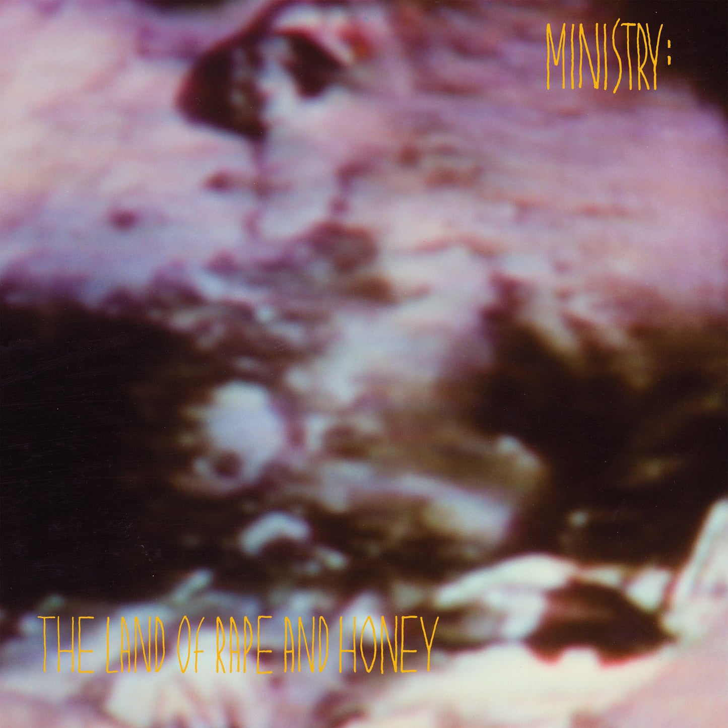The Land Of Rape And Honey (Deluxe Edition, Brick & Mortar Exclusive) (2 Lp) | Mint (M) Mint (M) Get Cheap Vinyl