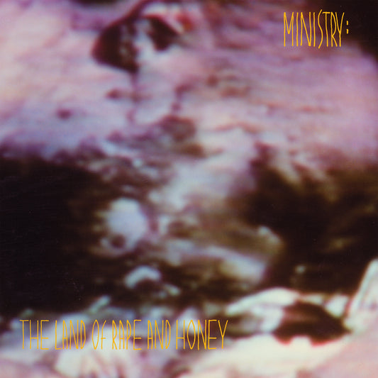 The Land Of Rape And Honey (Deluxe Edition, Brick & Mortar Exclusive) (2 Lp) | Mint (M) Mint (M) Get Cheap Vinyl