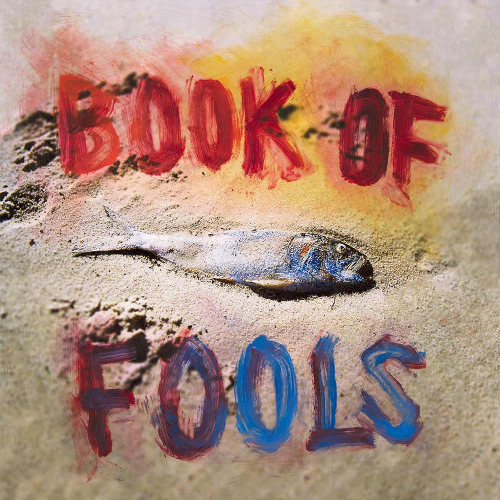 Book of Fools | Mint (M) Mint (M) Get Cheap Vinyl