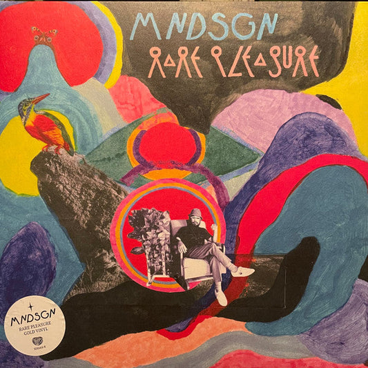 Rare Pleasure | Mint (M) Mint (M) Get Cheap Vinyl