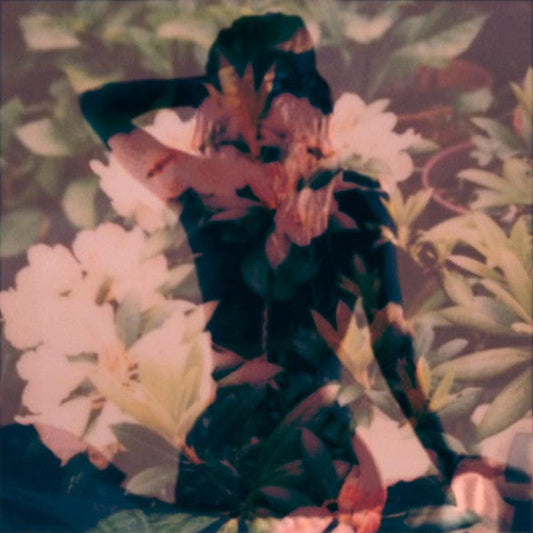 Modern Vices | Mint (M) Mint (M) Get Cheap Vinyl