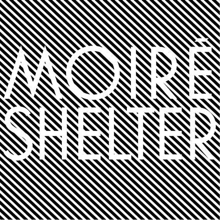 Shelter | Mint (M) Mint (M) Get Cheap Vinyl