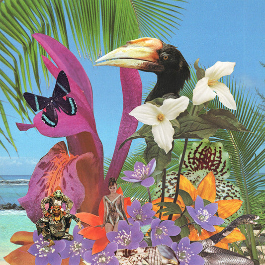 Adventures On The Floating Island | Mint (M) Mint (M) Get Cheap Vinyl