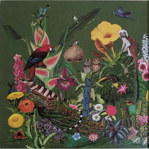 Castaways Vol. 1 | Mint (M) Mint (M) Get Cheap Vinyl