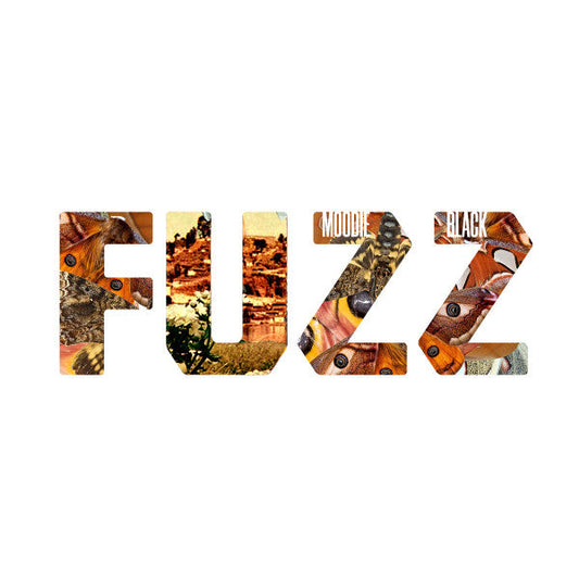 Fuzz | Mint (M) Mint (M) Get Cheap Vinyl