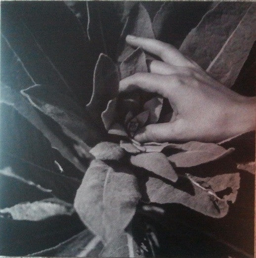 Heide | Mint (M) Mint (M) Get Cheap Vinyl