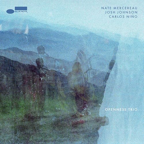 Openness Trio | Get Cheap Vinyl
