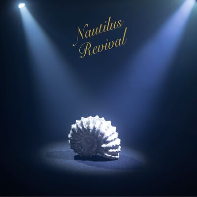 Revival | Get Cheap Vinyl