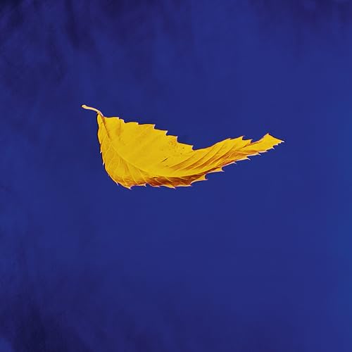 True Faith (2023 Remaster) | Mint (M) Mint (M) Get Cheap Vinyl