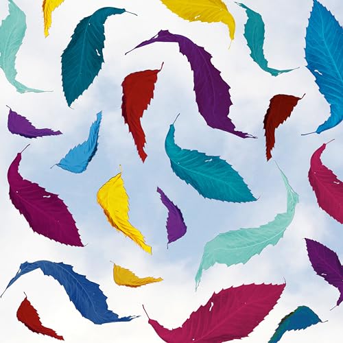 True Faith Remix (2023 Remaster) | Mint (M) Mint (M) Get Cheap Vinyl