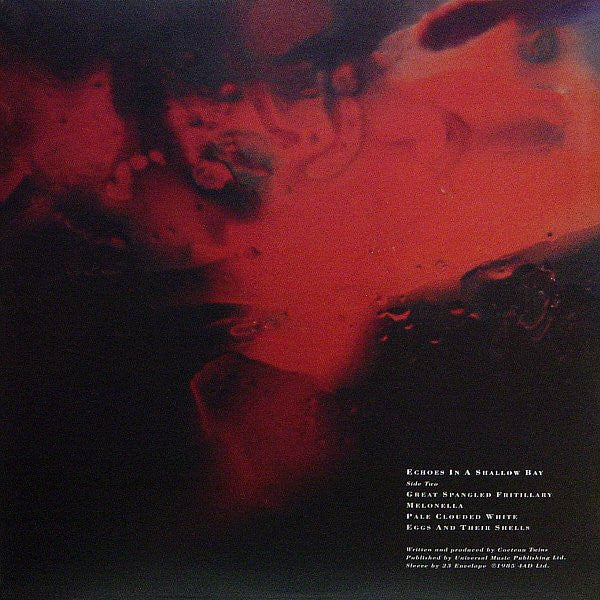 Tiny Dynamine / Echoes In A Shallow Bay | Mint (M) Mint (M) Get Cheap Vinyl