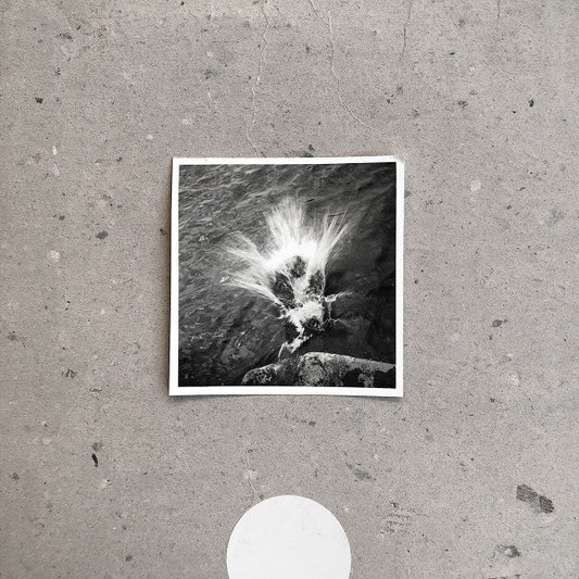 Empty | Mint (M) Mint (M) Get Cheap Vinyl