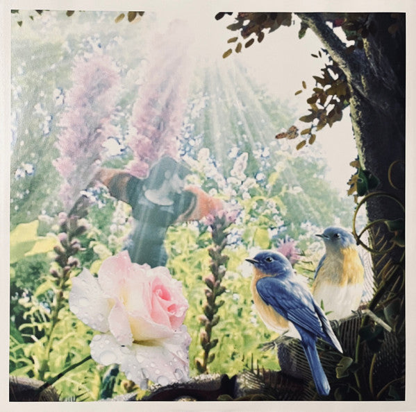 Unity | Mint (M) Mint (M) Get Cheap Vinyl
