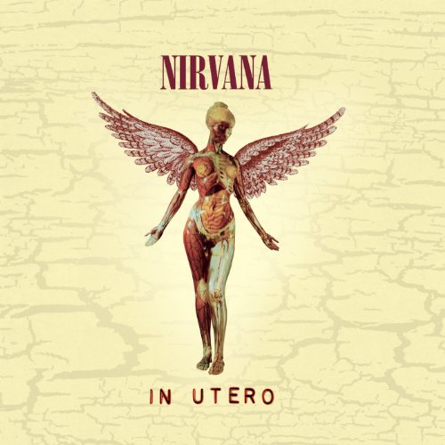 IN UTERO (20TH ANNIVERSARY EDITION) | Get Cheap Vinyl