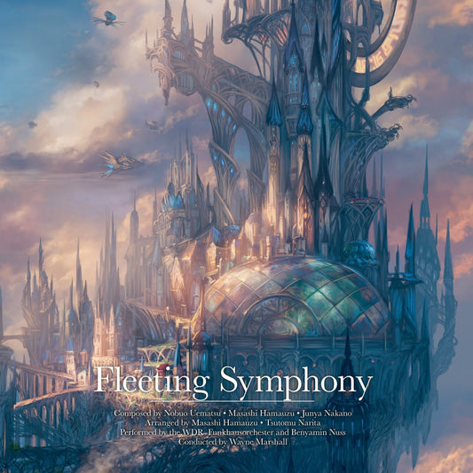 Fleeting Symphony | Get Cheap Vinyl