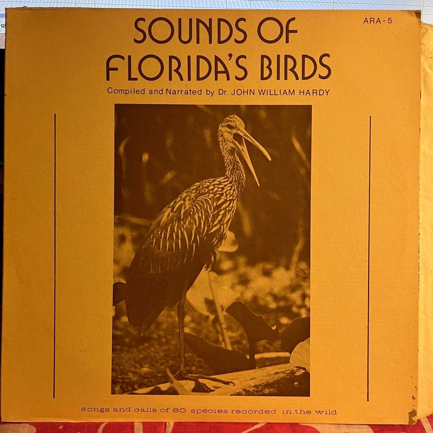Sounds Of Florida's Birds | Very Good Plus (VG+) Excellent (EX) Get Cheap Vinyl