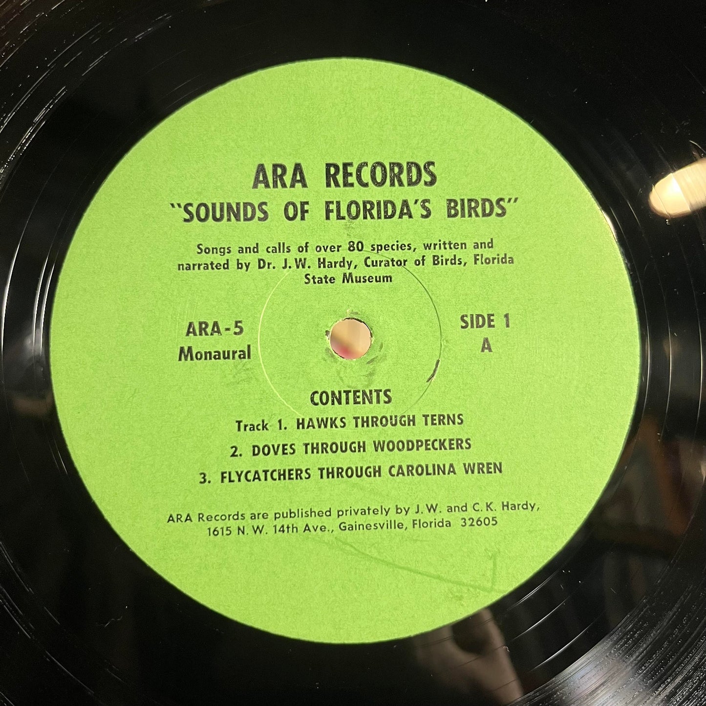 Sounds Of Florida's Birds | Very Good Plus (VG+) Excellent (EX) Get Cheap Vinyl