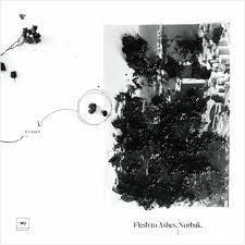 Flesh To Ashes | Mint (M) Mint (M) Get Cheap Vinyl