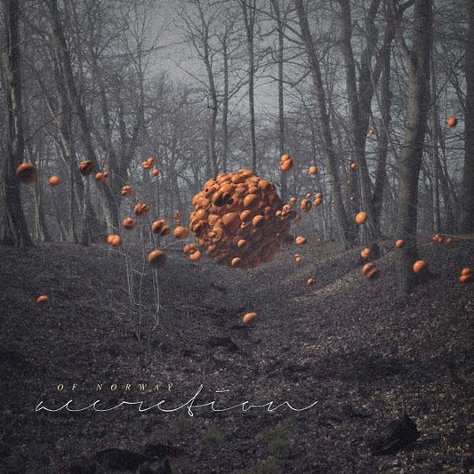 Accretion | Get Cheap Vinyl