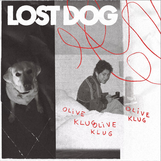 Lost Dog | Get Cheap Vinyl