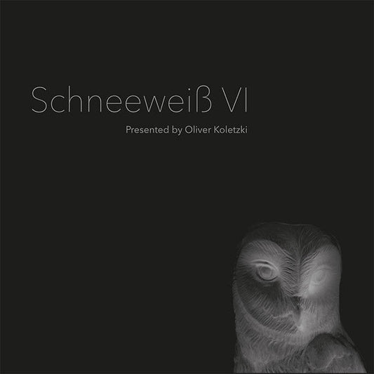 Schneeweiss VI | Get Cheap Vinyl