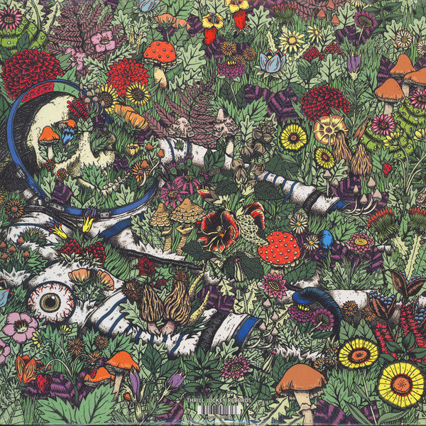 Whatever Forever | Mint (M) Mint (M) Get Cheap Vinyl