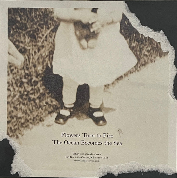 Flowers Turn To Fire | Mint (M) Mint (M) Get Cheap Vinyl