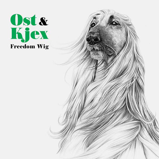 Freedom Wig | Get Cheap Vinyl