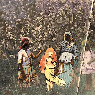 Laulu Laakson Kukista | Get Cheap Vinyl