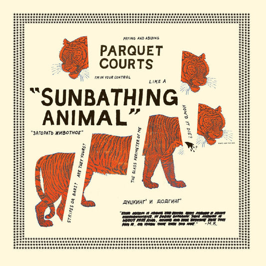 SUNBATHING ANIMAL + CONTENT NAUSEA | Get Cheap Vinyl