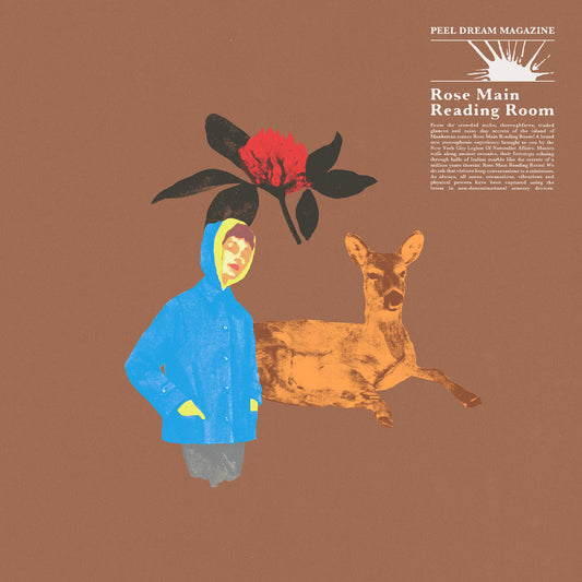 Rose Main Reading Room | Get Cheap Vinyl