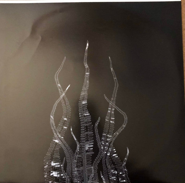 City Of Echoes | Mint (M) Mint (M) Get Cheap Vinyl
