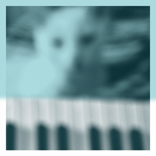 Piano Works Vol.1 (Floating In Tucker's Basement) | Mint (M) Mint (M) Get Cheap Vinyl