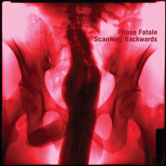 Scanning Backwards | Get Cheap Vinyl