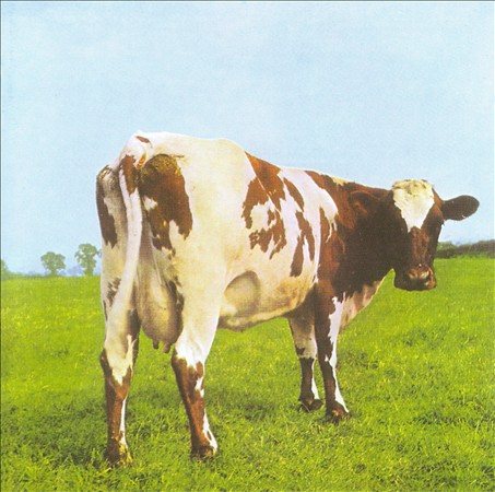 Atom Heart Mother (Remastered,180 Gram Vinyl, Gatefold LP Jacket) | Mint (M) Mint (M) Get Cheap Vinyl