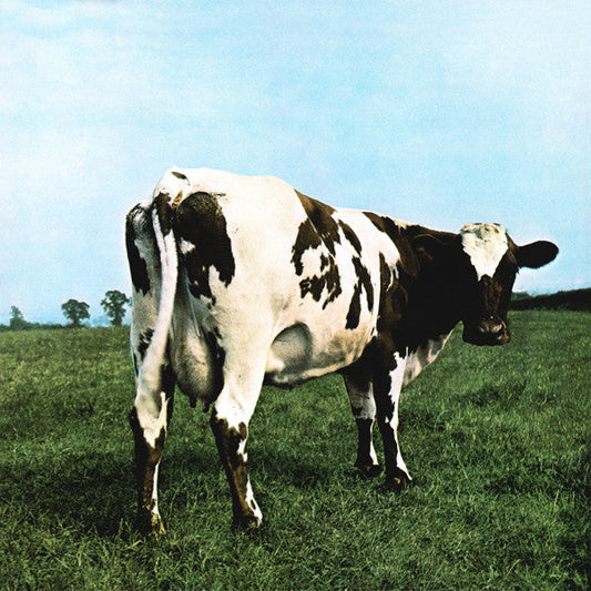 Pink Floyd Atom Heart Mother Pink Floyd Records LP, Album, RE, RM, 180 Mint (M) Mint (M) Get Cheap Vinyl