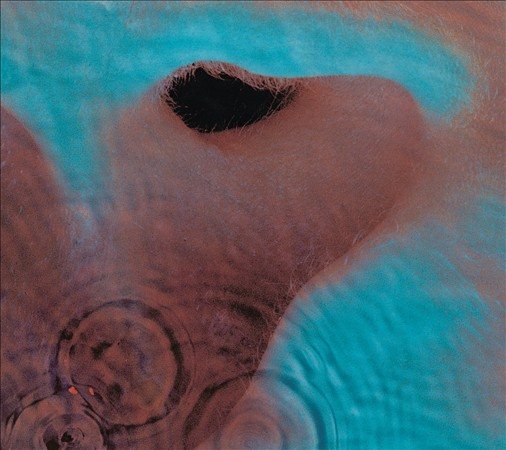Meddle (Remastered CD) | Mint (M) Mint (M) Get Cheap Vinyl