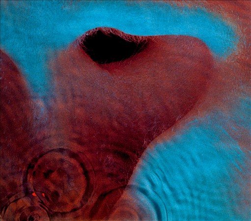 Meddle (VINYL) | Mint (M) Mint (M) Get Cheap Vinyl
