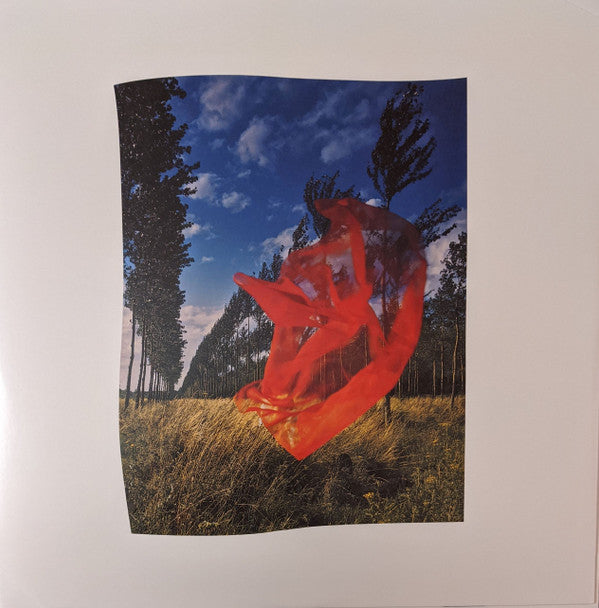 Wish You Were Here | Mint (M) Mint (M) Get Cheap Vinyl